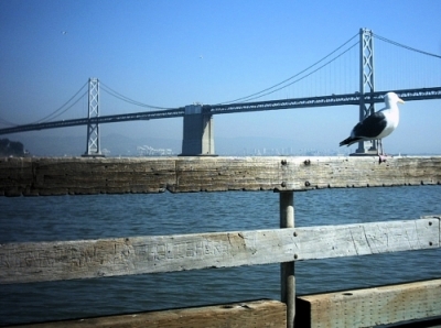 Bay Bridge